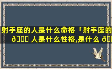 射手座的人是什么命格「射手座的 🐝 人是什么性格,是什么 🐧 命运」
